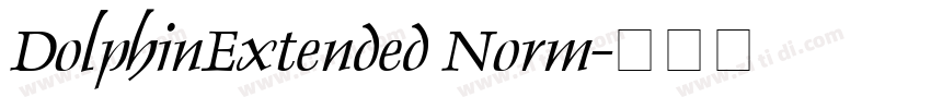 DolphinExtended Norm字体转换